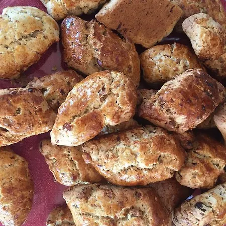 Il Nuovo Gabbiano 호텔 3*