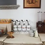 Il Nuovo Gabbiano 3*