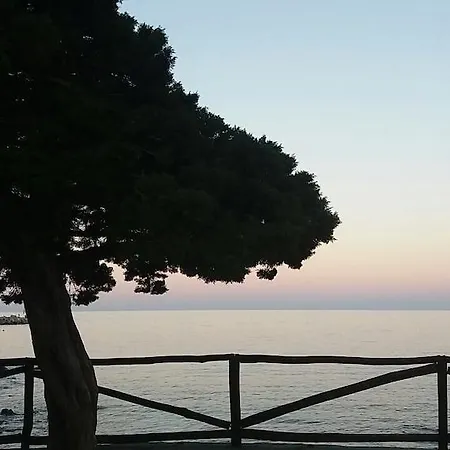 Il Nuovo Gabbiano 3*