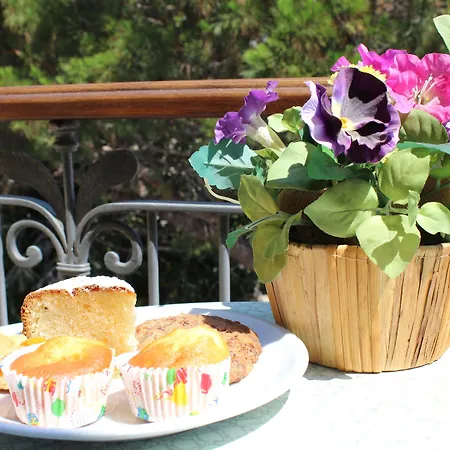 Il Nuovo Gabbiano فندق 3*