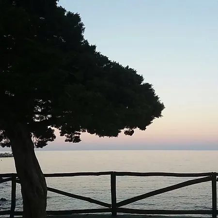 Il Nuovo Gabbiano فندق