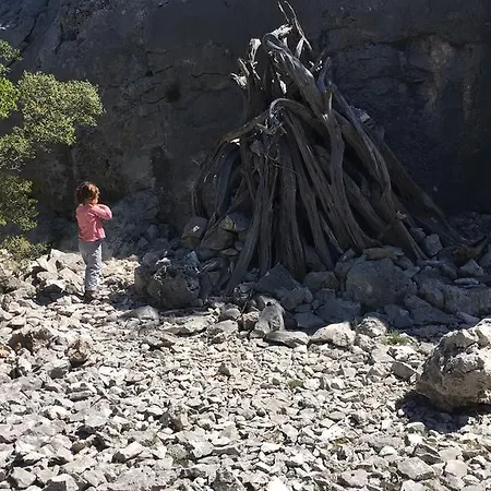 Il Nuovo Gabbiano فندق 3*