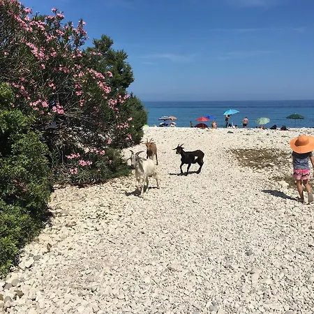 호텔 Il Nuovo Gabbiano 3*