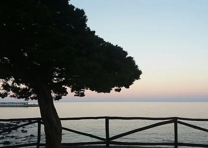 Il Nuovo Gabbiano Hotel