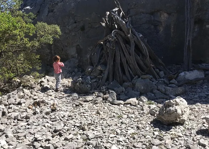 Il Nuovo Gabbiano Hotel 3*