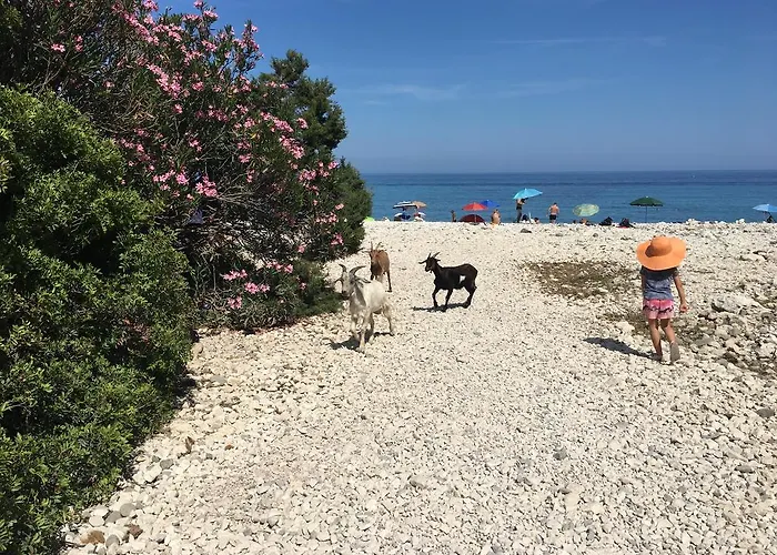 Hotel Il Nuovo Gabbiano 3*