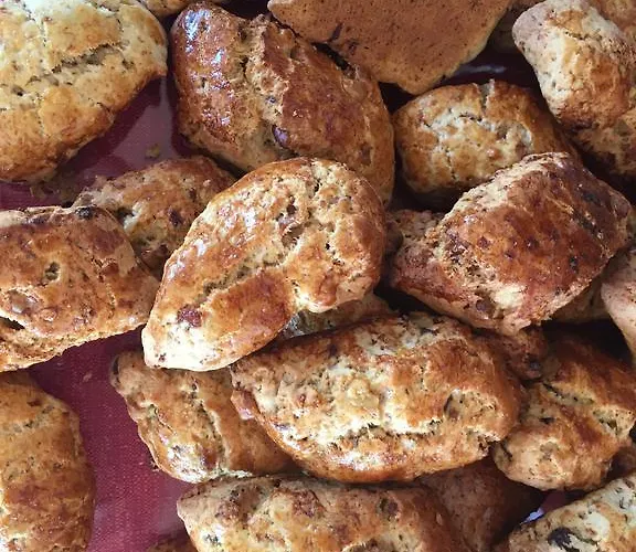 Il Nuovo Gabbiano Hotel 3*